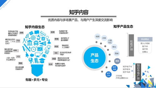一篇文章学会信息流广告投放 从入门到精通的实战指南