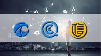 天眼查、企查查、启信宝“三查大战” 谁能抢占C端市场先机？