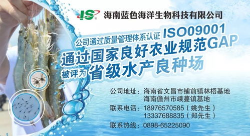 冰鲜超2元/斤成本压力下，饲料优势凸显，宁德大黄鱼料市场迎70余家企业逐鹿