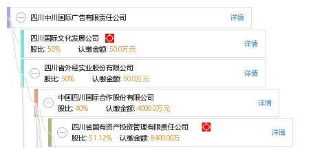 四川中川国际广告有限责任公司综合信息概览